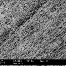 nano tubi carbonio