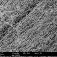 nano tubi carbonio