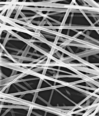 silver nanowire nanofili di argento