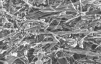 nanotubi parete multipla