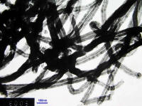 nanotubi grafitati