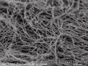 nanotubi carbonio
