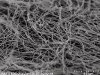 nanotubi carbonio