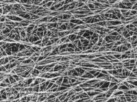 grafene nanotubi