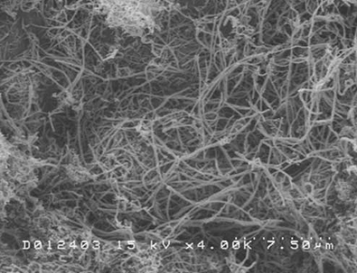 nanotubi e garfene