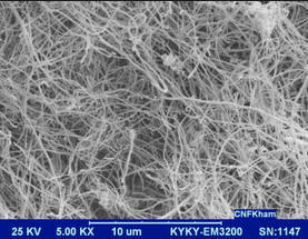 nanotubo carbonio